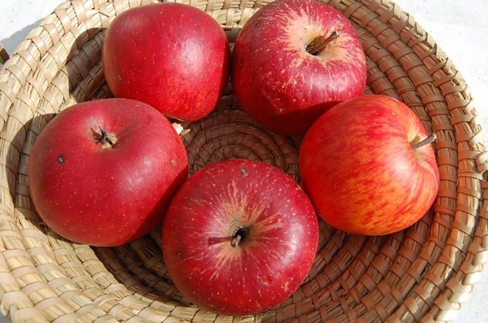 Lageräpfel liefern wertvolle Inhaltsstoffe