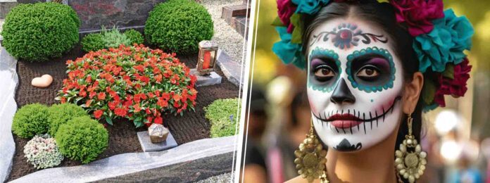 Foto links: Petra Beerhalter – stock.adobe.com, Foto rechts: pixander/123RF.com