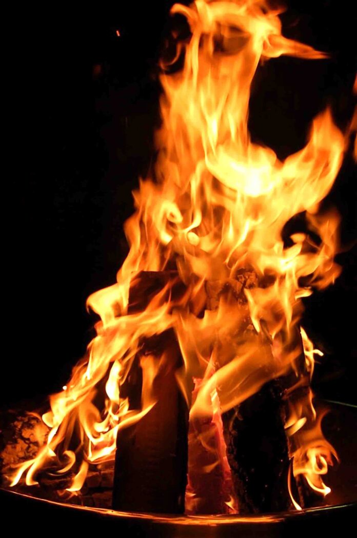 Foto: Franz Kraus, Kreisfachberater