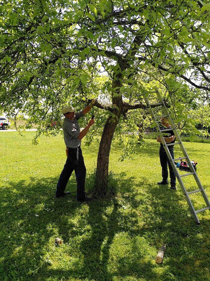 Foto: Landschaftspflegeverband Neumarkt i.d.OPf. e.V.